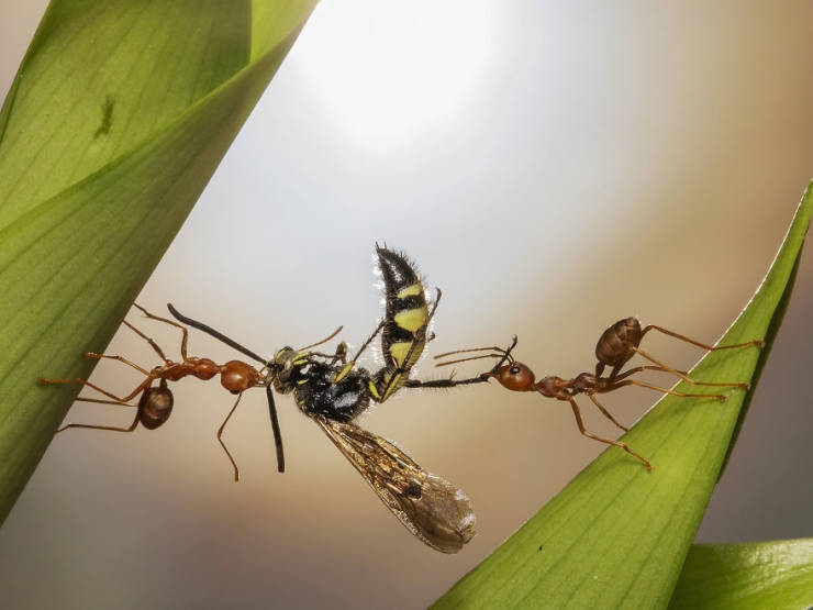 2019naturephotographer_023