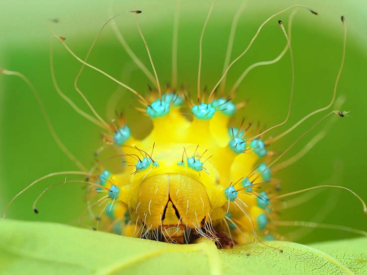 2019naturephotographer_027