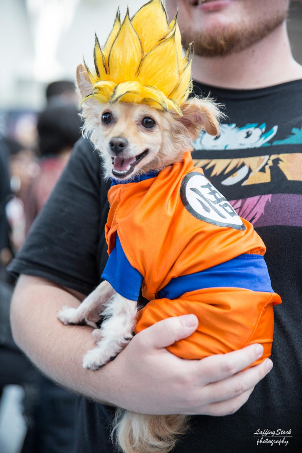 animeexpo2019b_010 animeexpo2019b_010