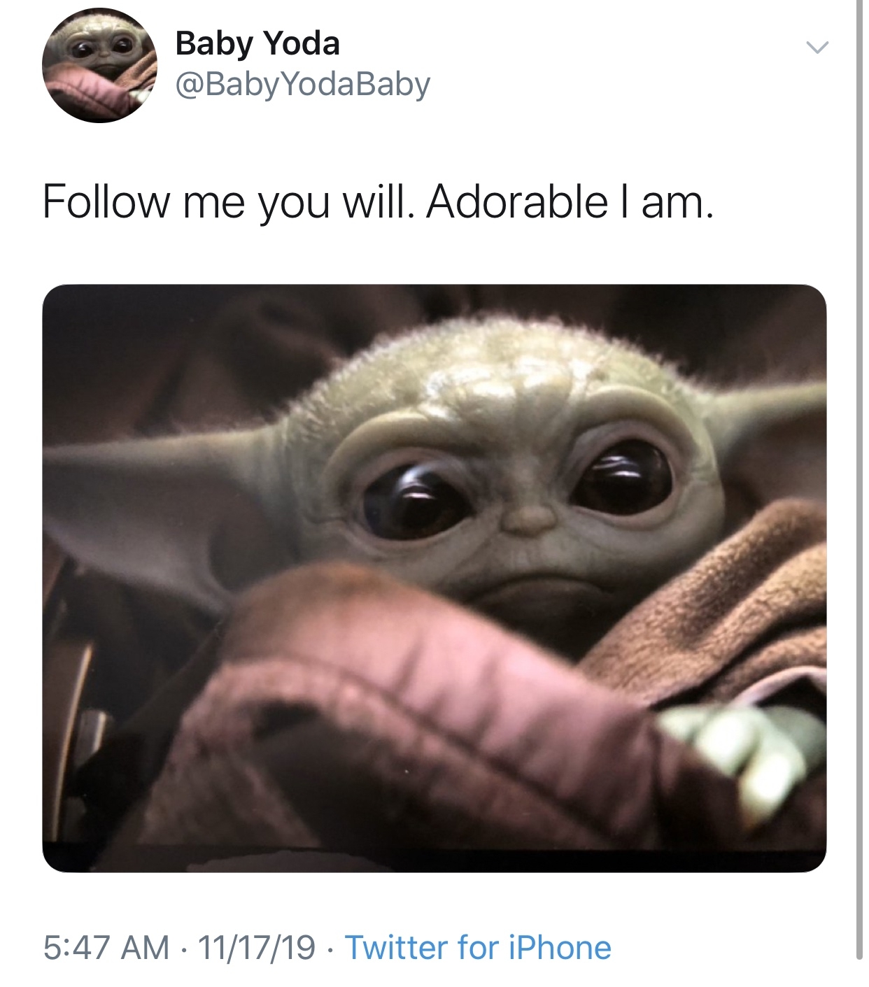 babyyodamemes_023