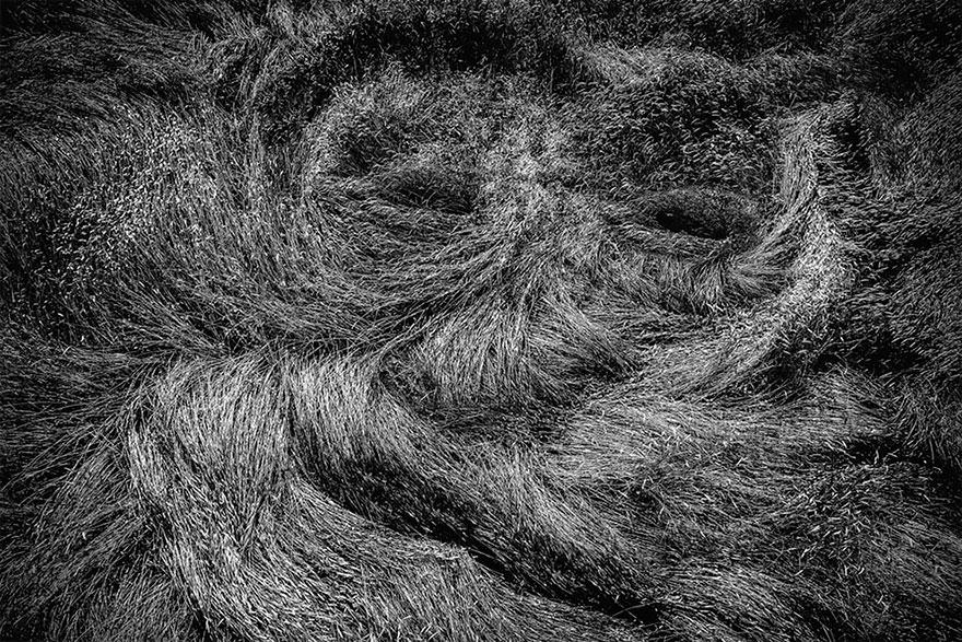 bestdronephoto2018_002