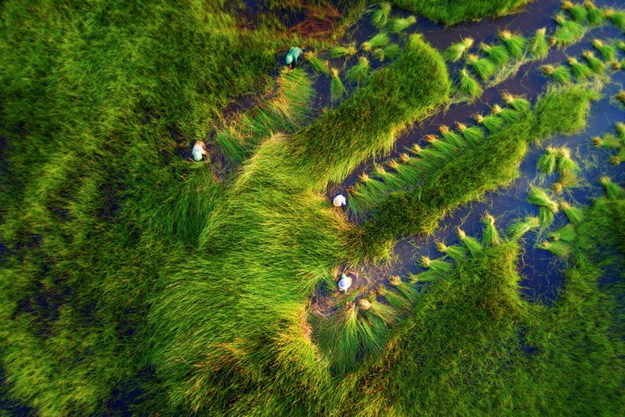 bestdronephoto2018_021