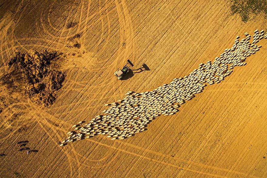 bestdronephoto2018_040