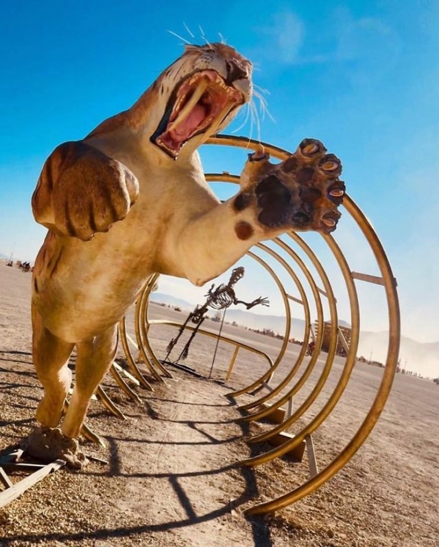burningman2019_037