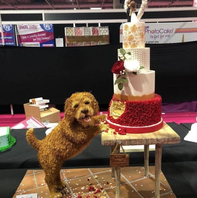 creativecakes4_008