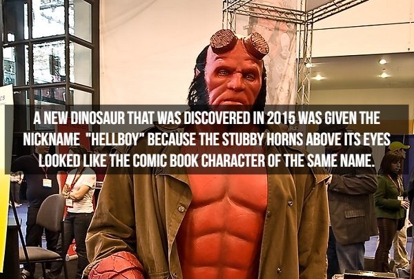 dinosaurfacts_001