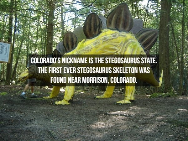 dinosaurfacts_005