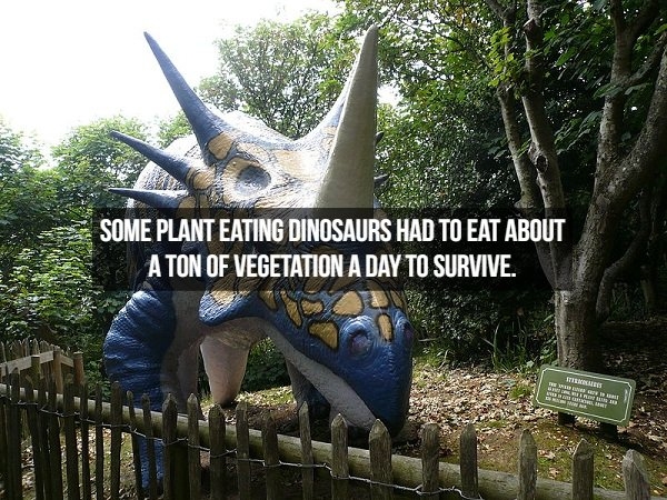 dinosaurfacts_006