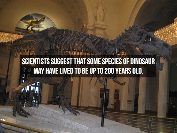 dinosaurfacts_017