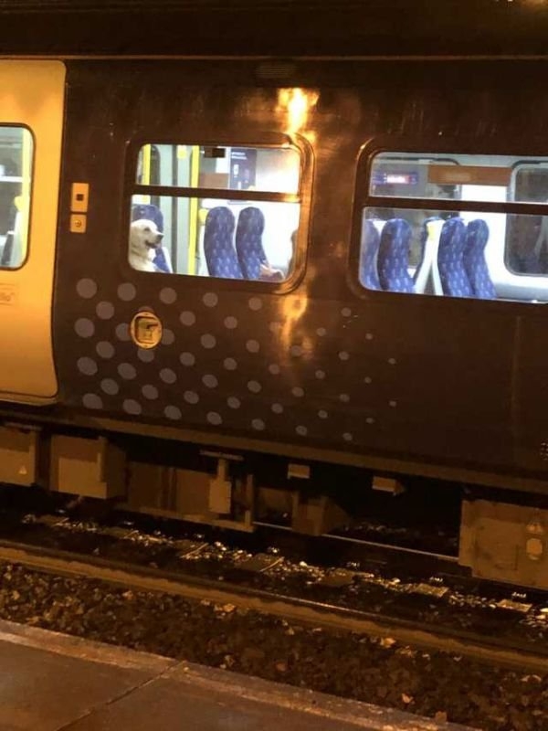 funnysubway_005