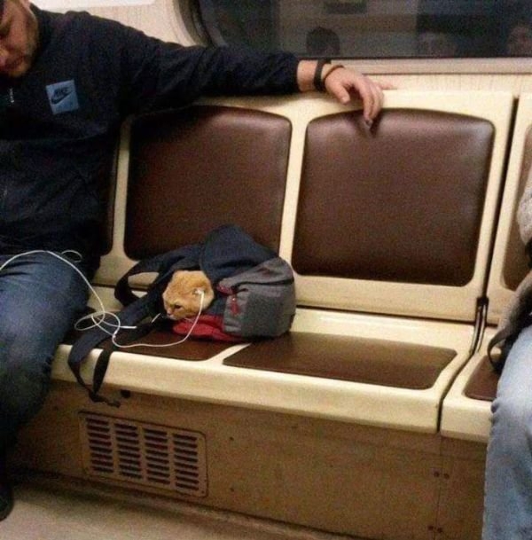 funnysubway_009