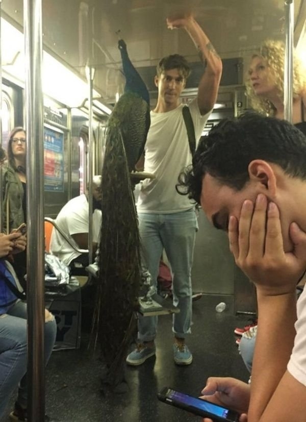 funnysubway_014