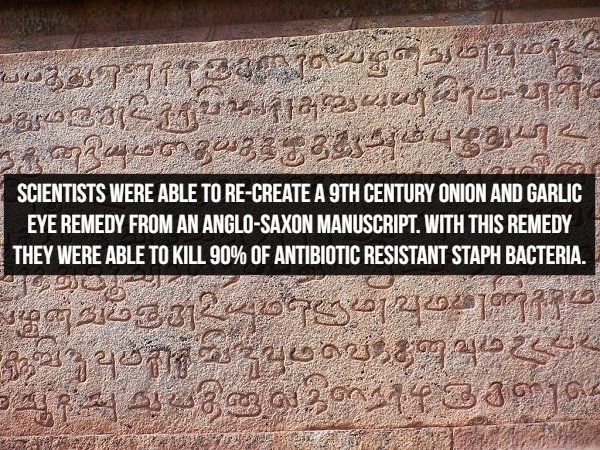 historicalfacts1_001