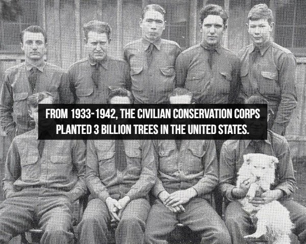 historicalfacts1_012