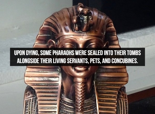 historicalfacts1_017