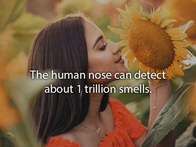 humanbodyfacts3_001