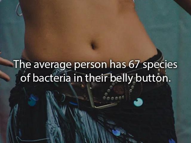 humanbodyfacts3_004