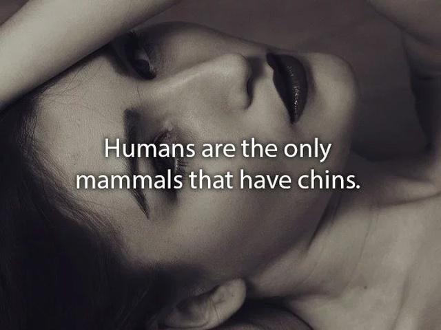 humanbodyfacts3_013