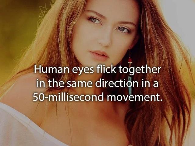 humanbodyfacts3_017