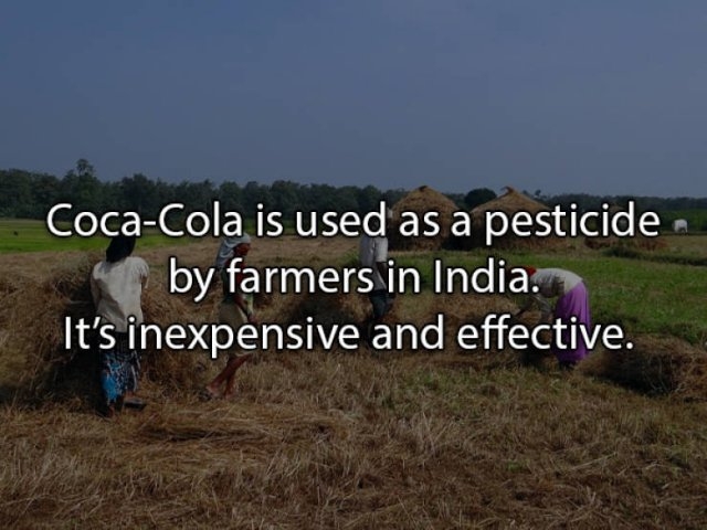 interestingfacts_002