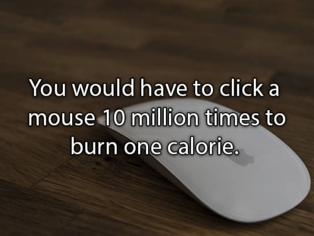 interestingfacts_011