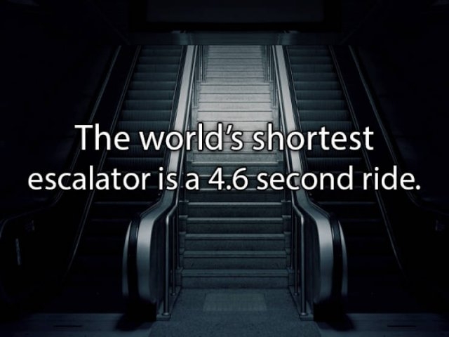 interestingfacts_015