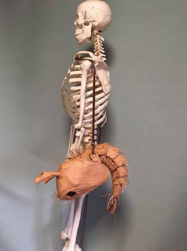 japanesenatureart_024