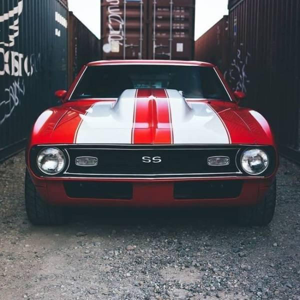 musclecars_040