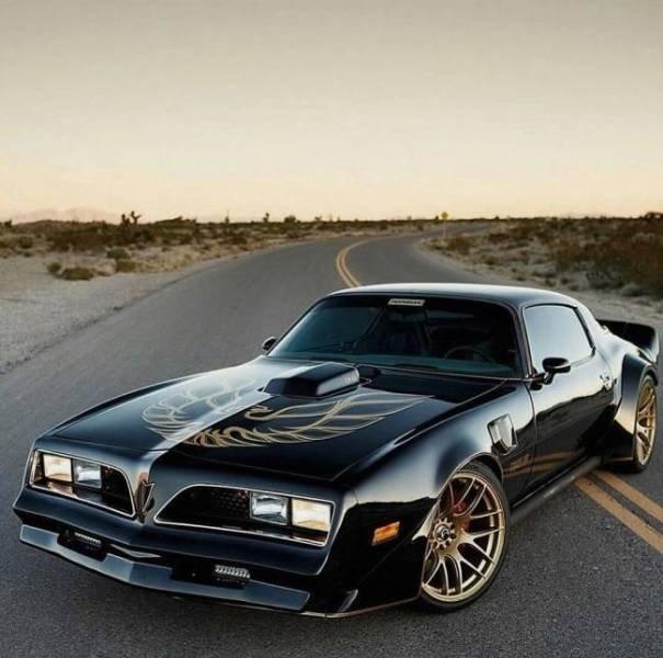 musclecars_041