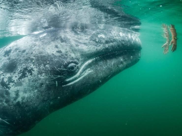 nationalgeographic_002