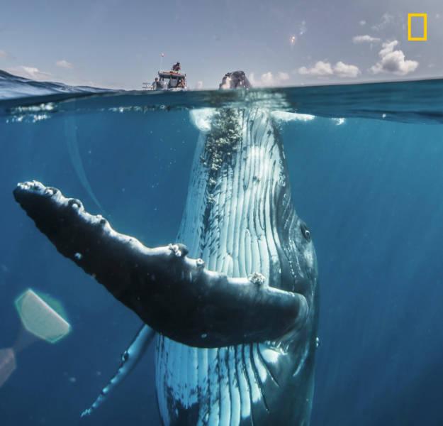 nationalgeographic_004