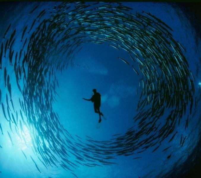 nationalgeographic_009