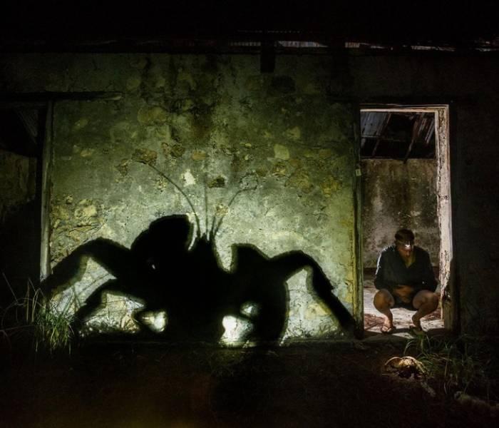 nationalgeographic_011