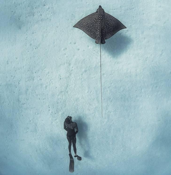 nationalgeographic_015