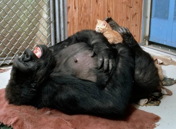 nationalgeographic_021