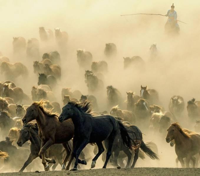 nationalgeographic_023