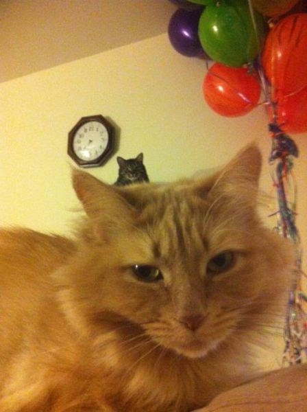 photobombinggoldenglobes_023