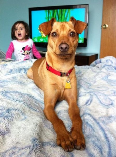 photobombinggoldenglobes_031