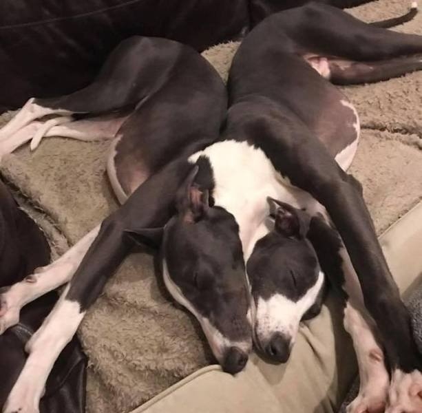 photographymagic2_013