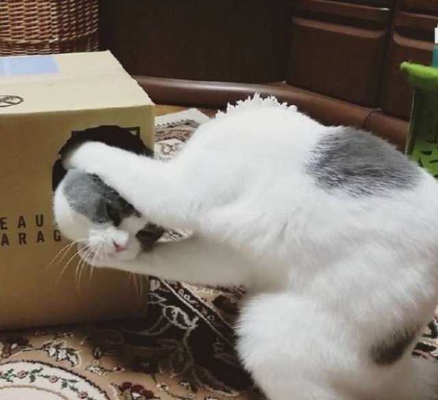 photographymagic2_015