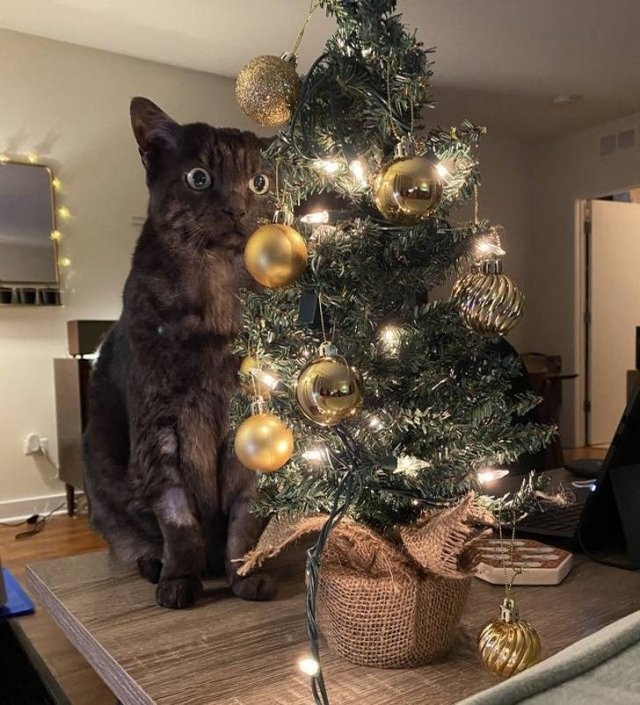 photographymagic2_021