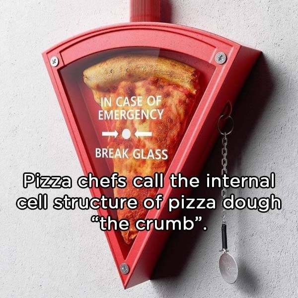 pizzafacts_005