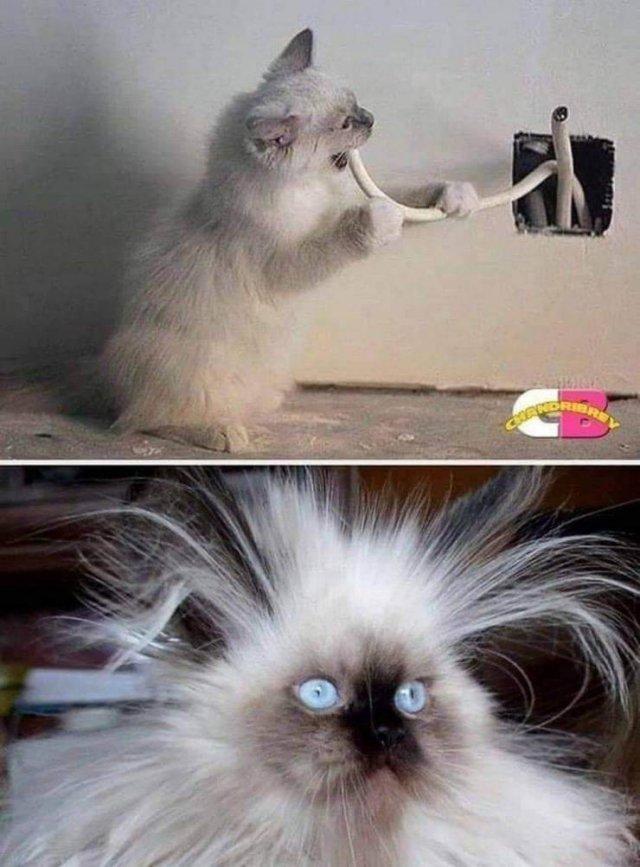 randompics210_078