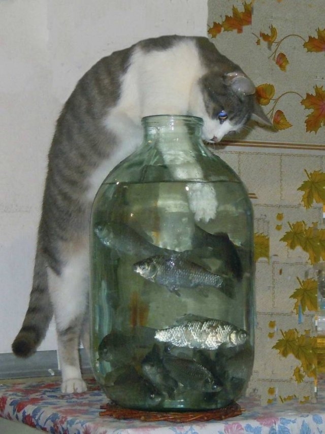 randompics211_068