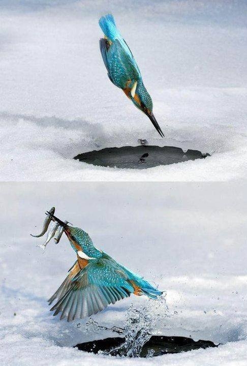 randompics211_097