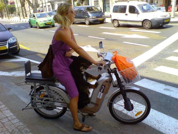 randompics212_054