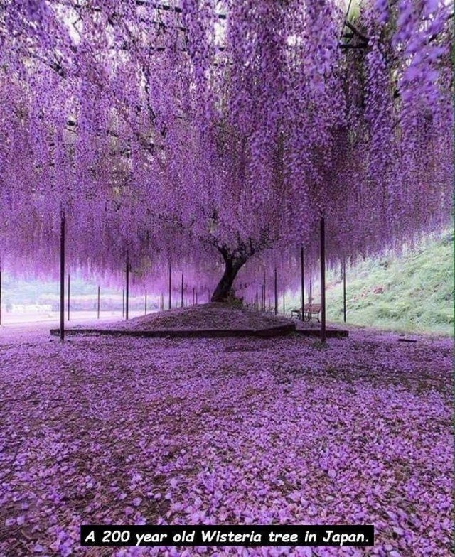 randompics214_064
