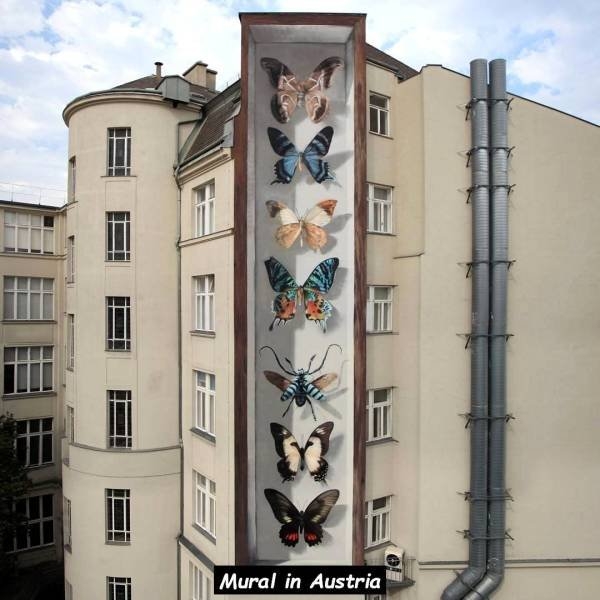 randompics214_072