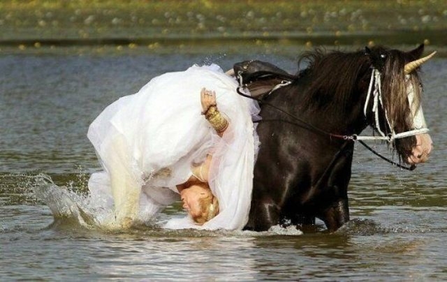 randompics216_052