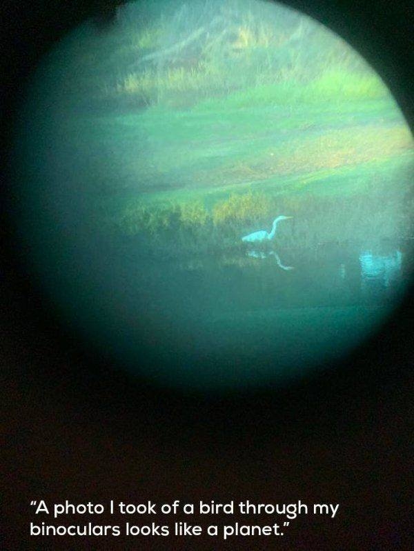 randompics216_083